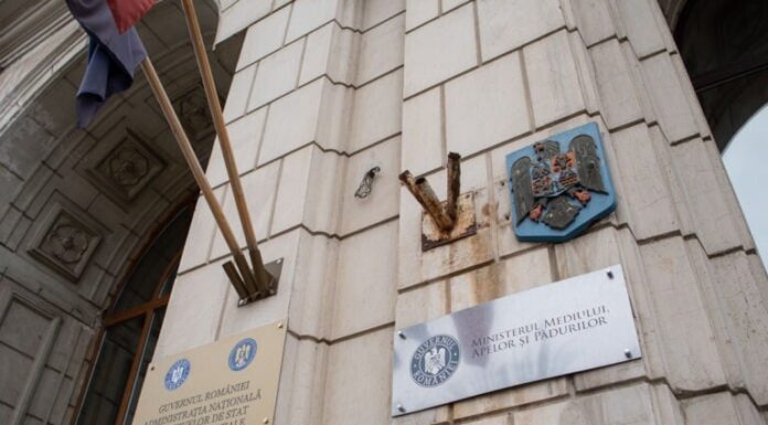 Selecție transparentă pentru șefia Gărzilor Forestiere