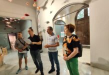 Echipa Muzeului Județean, la curs de digitalizare în Spania