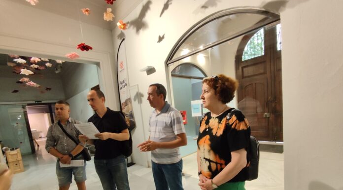 Echipa Muzeului Județean, la curs de digitalizare în Spania