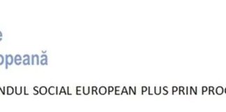 E-Skill – Abilități digitale pentru piața muncii – COD SMIS 334321