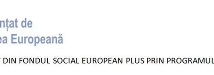 E-Skill – Abilități digitale pentru piața muncii – COD SMIS 334321