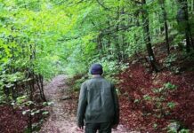 Romsilva limitează bonusul de pensionare la un salariu