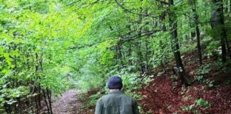 Romsilva limitează bonusul de pensionare la un salariu