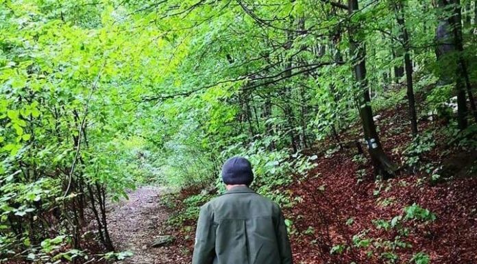 Romsilva limitează bonusul de pensionare la un salariu