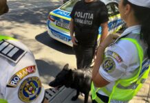 Alertă la Săulești, după ce un șofer băut a lovit o țeavă de gaze