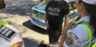 Alertă la Săulești, după ce un șofer băut a lovit o țeavă de gaze