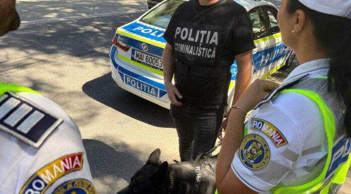 Alertă la Săulești, după ce un șofer băut a lovit o țeavă de gaze