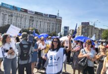 Profesori din Gorj, protest la Guvern: „Aceasta nu este reformă, este dezastru”