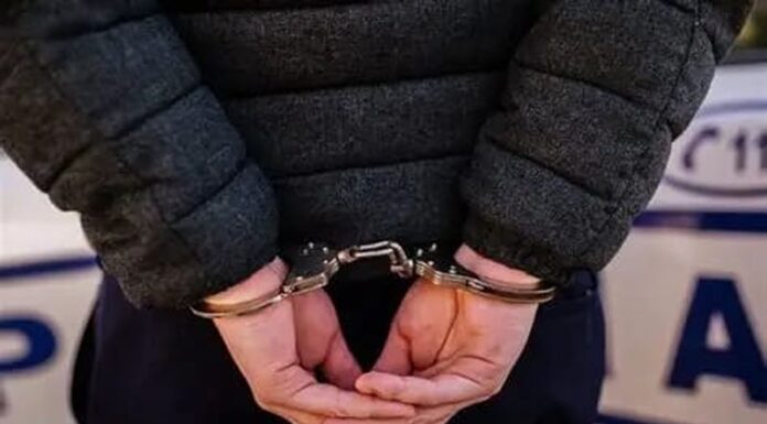 Reținuți pentru furt de oi