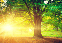 Ultima săptămână din septembrie va fi caldă