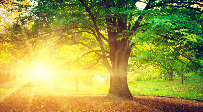 Ultima săptămână din septembrie va fi caldă