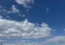 ADIS: Studiul privind tratarea deșeurilor, contractat