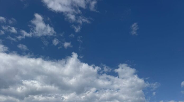 ADIS: Studiul privind tratarea deșeurilor, contractat