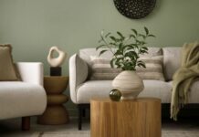 De la pereți la detalii: verdele olive ca fundație a designului modern