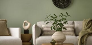 De la pereți la detalii: verdele olive ca fundație a designului modern