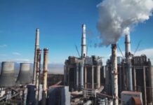 Ce grupuri sunt funcționale la CEO