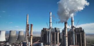 Ce grupuri sunt funcționale la CEO