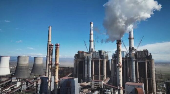 Ce grupuri sunt funcționale la CEO