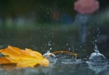 Se instalează toamna. Vreme rece