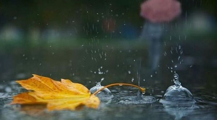 Se instalează toamna. Vreme rece