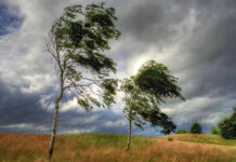 Agricultura pe înțelesul tuturor – PUȚINĂ AGROMETEOROLOGIE