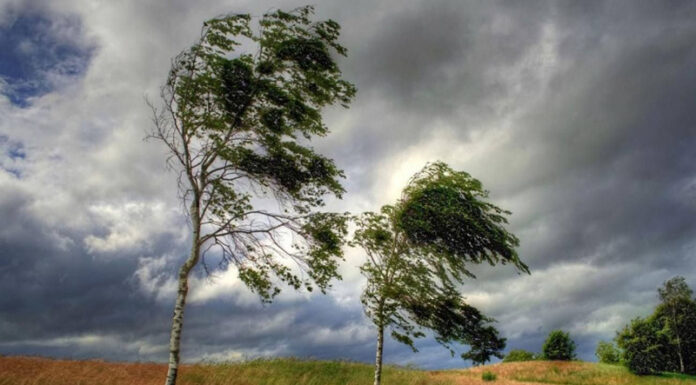 Agricultura pe înțelesul tuturor – PUȚINĂ AGROMETEOROLOGIE