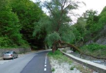 Repere autumnale – REVENIRE ÎN LUMEA CARSTULUI GORJEAN – Spre Bidăroaia din Dâlma Cucutelor