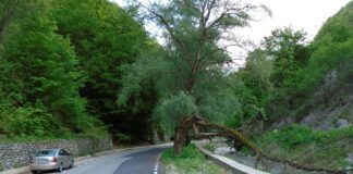 Repere autumnale – REVENIRE ÎN LUMEA CARSTULUI GORJEAN – Spre Bidăroaia din Dâlma Cucutelor