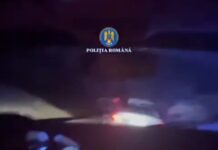 Video: Șofer băut, încătușat după ce a fugit de polițiști