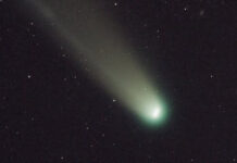 Cometa Lemmon, vizibilă din Gorj. Fotograful, întâlnire cu un șacal