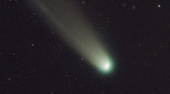 Cometa Lemmon, vizibilă din Gorj. Fotograful, întâlnire cu un șacal