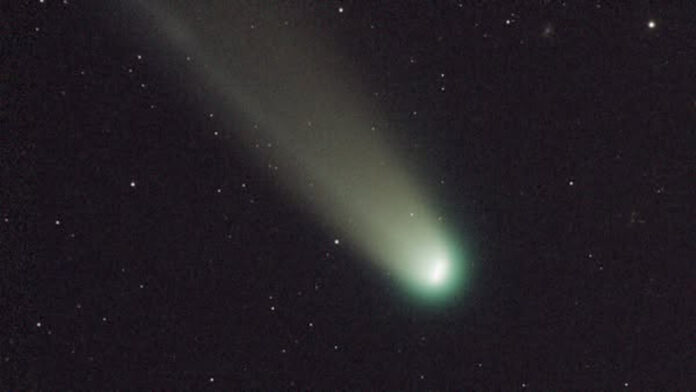 Cometa Lemmon, vizibilă din Gorj. Fotograful, întâlnire cu un șacal
