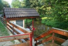 Peripluri autumnale – Prin Gorjul de sub munte – Călător prin lumea „APEI VII”