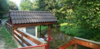 Peripluri autumnale – Prin Gorjul de sub munte – Călător prin lumea „APEI VII”