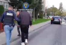 Șase reținuți după percheziții
