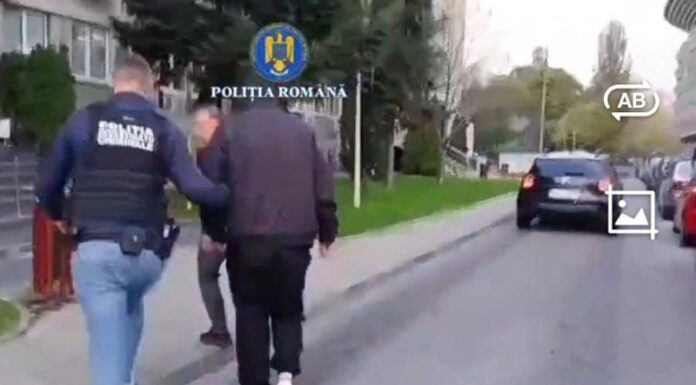 Șase reținuți după percheziții