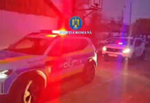 VIDEO: Percheziție în curtea unei femei, după ce a ținut polițiștii și pădurarul la poartă