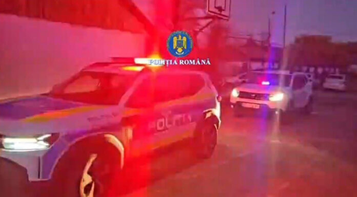 VIDEO: Percheziție în curtea unei femei, după ce a ținut polițiștii și pădurarul la poartă