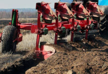 Agricultura pe înțelesul tuturor – Dacă toamna va fi timpurie și scurtă – Cum punem bazele viitoarelor culturi ?