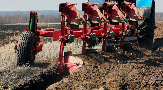 Agricultura pe înțelesul tuturor – Dacă toamna va fi timpurie și scurtă – Cum punem bazele viitoarelor culturi ?