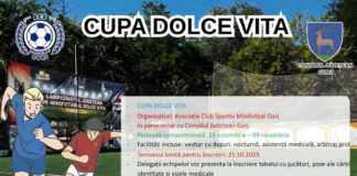 Minifotbal: Au început înscrierile pentru Cupa Dolce Vita