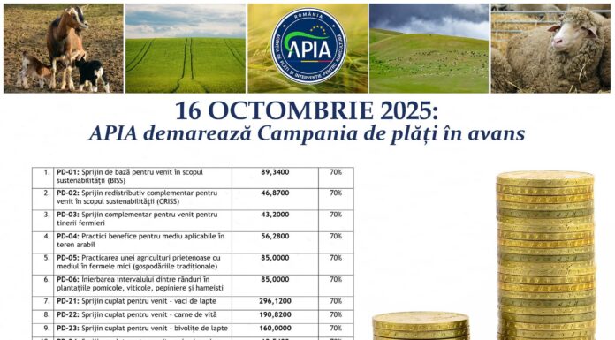 De mâine, APIA demarează campania de plăți în avans