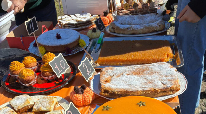 Festival al dovlecilor, la Runcu!