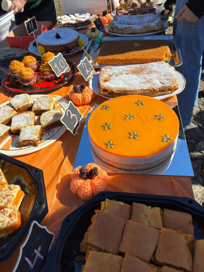 Festival-al-dovlecilor-(2)