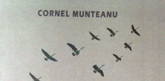 Gânduri…gânduri…