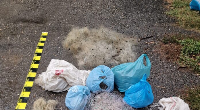 FOTO: Percheziții în comuna Plopșoru