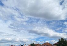 Accident cu trei mașini la Drăguțești