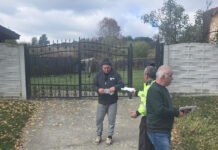 Localnicii din Bustuchin își vor putea steriliza și microcipa câinii în mod gratuit