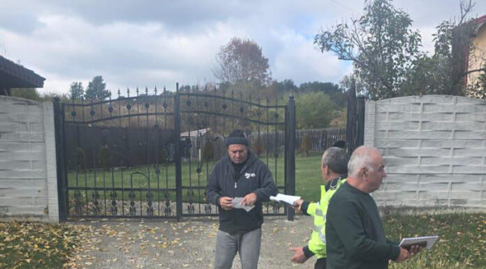 Localnicii din Bustuchin își vor putea steriliza și microcipa câinii în mod gratuit