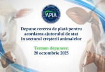 APIA: 28 octombrie, termen pentru crescătorii de animale